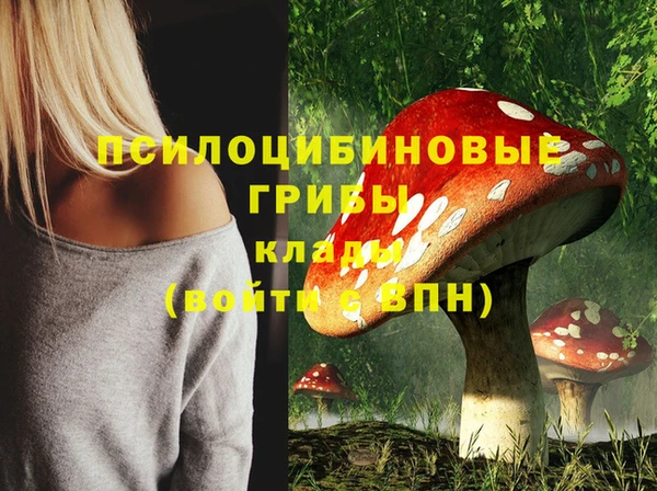 ALPHA PVP Беломорск